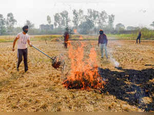 Amritsar: A farmer burns paddy stubble at a farm on the outskirts of Amritsar. T...