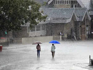 Heavy rains in Shimla, trees uprooted; IMD issues yellow alert