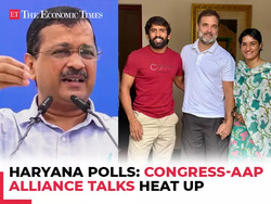 Haryana Assembly polls: Cong-AAP in alliance talks, Vinesh Phogat & Bajrang Punia may join INC