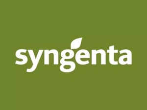 Synergeta