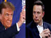 U.S Polls: Has Elon Musk's endorsement of Donald Trump backfired?