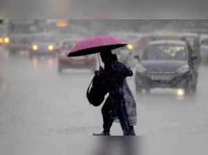 Rain continues to lash parts of Rajasthan