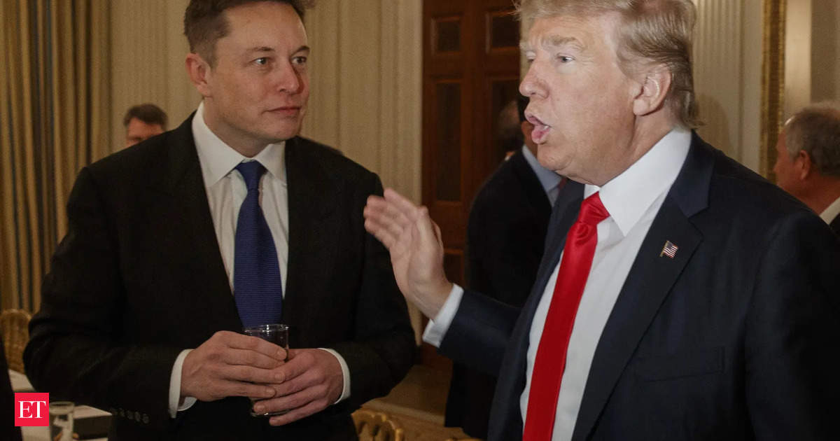 How Donald Trump and Elon Musk want to ‘eliminate fraud’ and save ‘trillions of dollars’ of US govt