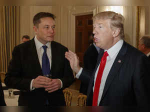 Trump and musk