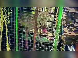 Wolf attacks in UP's Bahraich