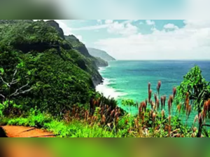 Popular Hawaii hiking trail shut after 37 fall sick in ‘rare’ norovirus outbreak