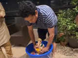 Viral Video: Watch Sachin Tendulkar perform Ganpati visarjan at home in an eco-friendly way in a bucket