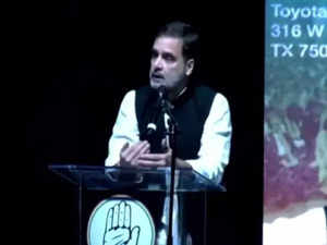 Rahul Gandhi black spot in Indian democracy: BJP