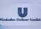 As HUL reviews ice-cream biz, cos line up for a scoop:Image