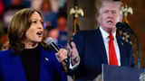 US Election 2024: Donald Trump 'very offended' by Vladimir Putin’s endorsement of Kamala Harris