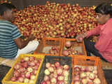 Apple prices crash by 50 pc as arrivals from Himachal Pradesh increase