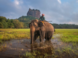 Sri Lanka's plan to allow tourists visa-free access still needs parliamentary nod