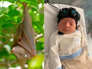 Declining bat population is increasing infant mortality in US, says new study; Here's the strange connection