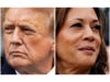 Trump's insults of Harris in debate carry big risks - for both candidates