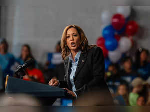 A new string of polls indicates warning signs for Kamala Harris