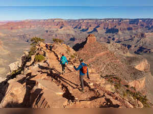 Why people are dying at the Grand Canyon? 15 people have died this year at the iconic place