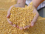 As govt plans to buy soyabean at MSP, industry demands increase in import duties of cooking oils