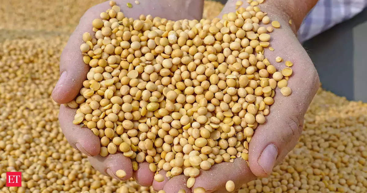 As govt plans to buy soyabean at MSP, industry demands increase in import duties of cooking oils