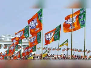 BJP's Central Election Committee to meet today; likely to discuss more LS candidates.