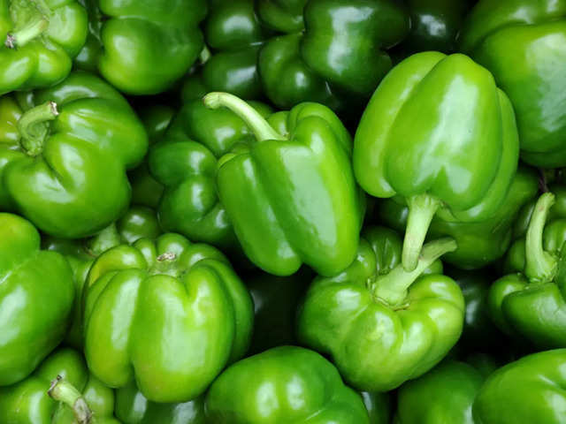 ​Capsicum​