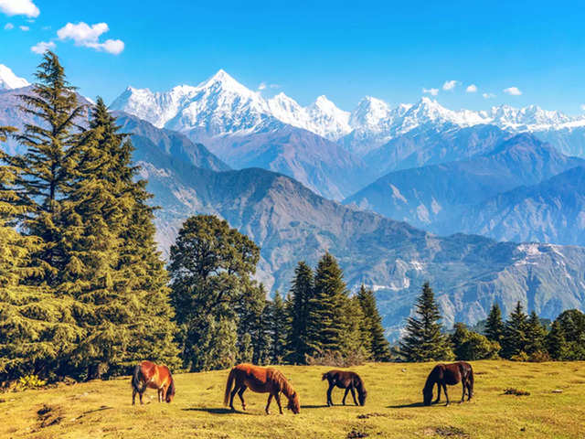 Munsiyari, Uttarakhand