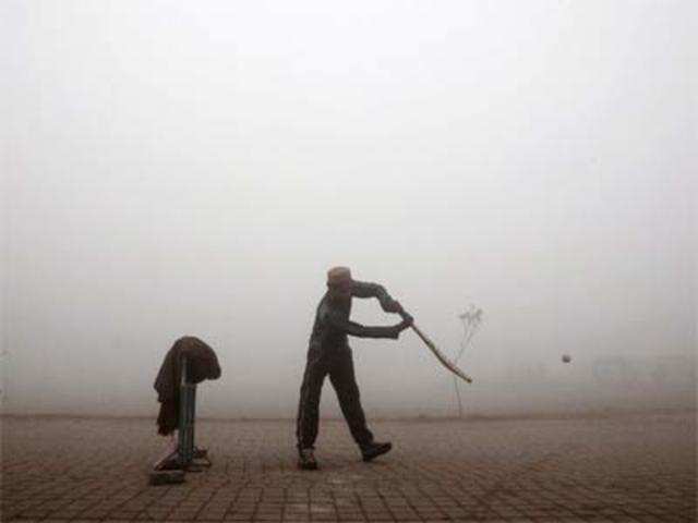 Cricket in the fog
