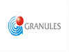 Granules India shares tank 16% after USFDA issues 6 observations