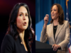 Tulsi Gabbard roasted: Trump relied on her to prep him up to debate with Harris, it did not work