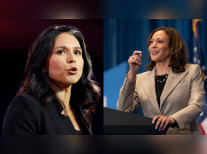 Tulsi Gabbard roasted: Trump relied on her to prep him up to debate with Harris, it did not work