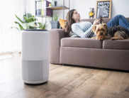 Best Air Purifiers under Rs 5000 for clean air