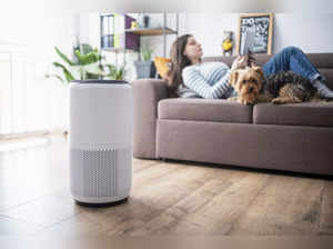 air purifiers