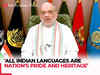 Hindi has unbreakable relationship with every Indian language: Amit Shah