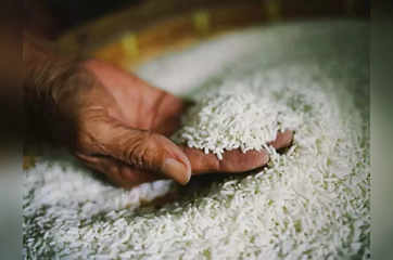 Exporters see increased demand as India removes basmati rice MEP