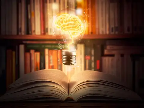 ​Educational background​