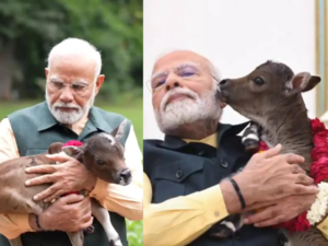 PM Modi welcomes birth of calf 'Deepjyoti' at residence with prayers