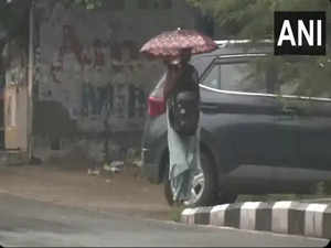 Delhi witnesses light rain, more showers expected till friday: IMD