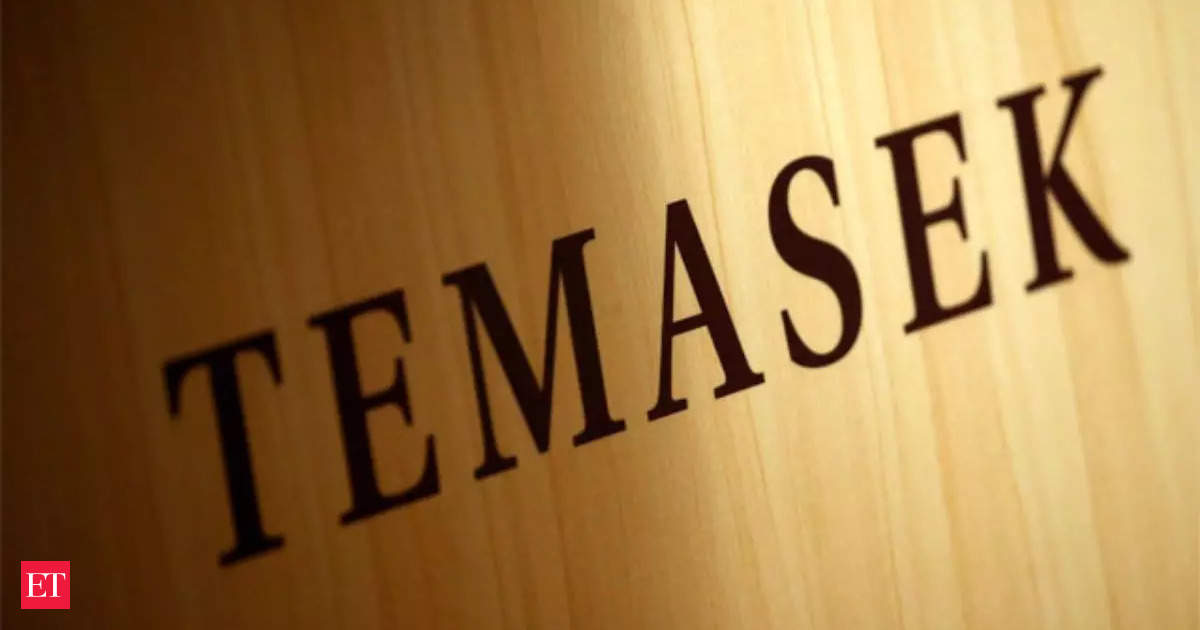 Temasek close to buying 20% in visa services provider VFS Global