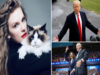 After Trump says I hate Taylor Swift, Harris Walz campaign releases cheeky statement rife with Taylor Swift songs