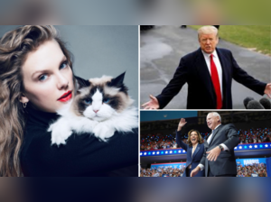 After Trump says I hate Taylor Swift, Harris Walz campaign releases cheeky statement rife with Taylor Swift songs