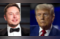 Elon Musk deletes X post regarding assassination attempt of Donald Trump. Check details here:Image