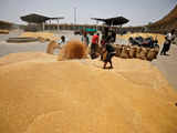 Govt to increase wheat allocation under PMGKAY from October