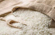 Six WTO nations quiz India's export curbs on rice, wheat