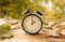 Daylight saving time 2024: Date, rules, when is it ending?:Image