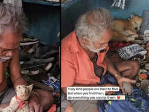 Bengaluru cobbler turns his shop into shelter for stray cats and dogs; netizens get floored:Image