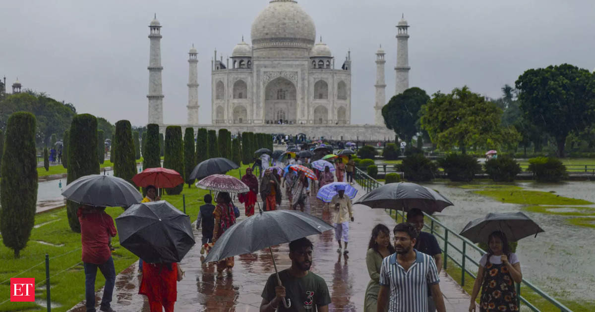 Tour guide express concern over plant growth on marble wall of Taj Mahal