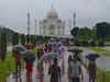 Tour guide express concern over plant growth on marble wall of Taj Mahal