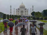 Tour guide express concern over plant growth on marble wall of Taj Mahal