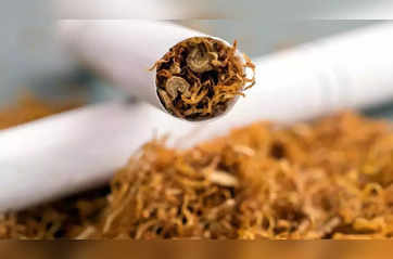 Madras HC upholds prosecution of Jaiswal Products over seized tobacco in Tamil Nadu