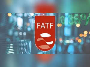 FATF praises NIA and ED's ability to conduct complex financial investigations, identify money trails