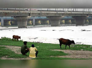 In Aug, the Yamuna showed no significant progress in its overall condition despite the steady rain.